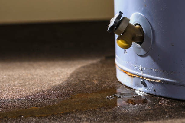 Best Flood damage cleanup  in Mount Holly, NC