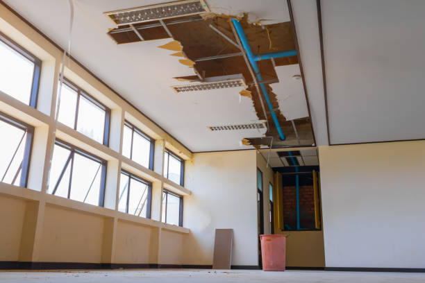 Best Sewage cleanup and water damage restoration  in Mount Holly, NC