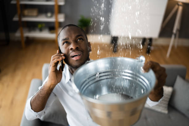 Best Ceiling water damage repair  in Mount Holly, NC