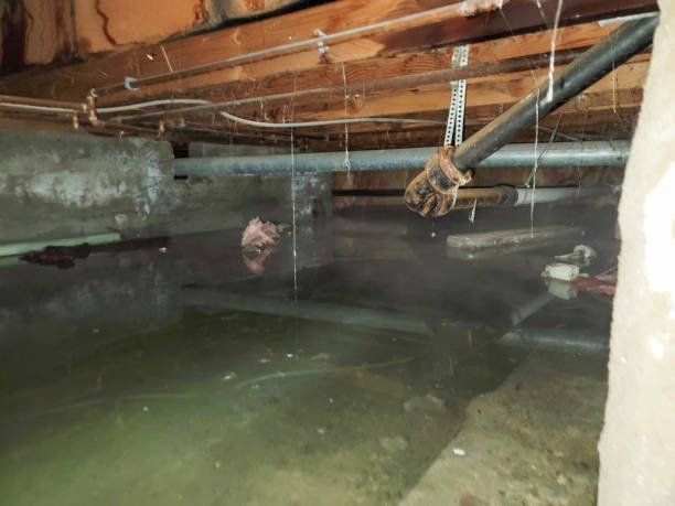 Best Fire Damage Restoration  in Mount Holly, NC