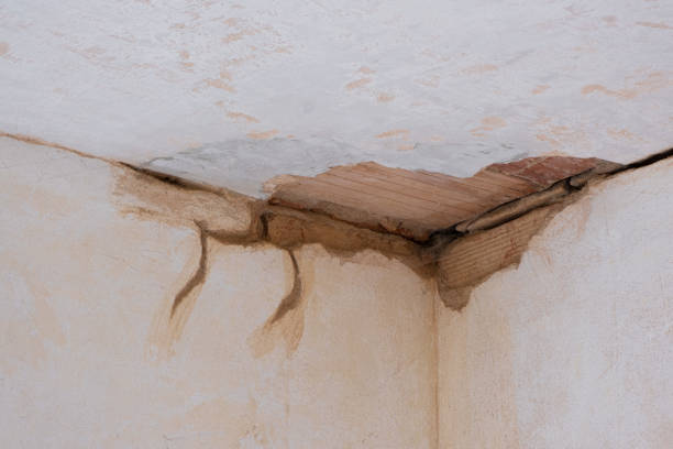 Best 24/7 water damage repair  in Mount Holly, NC