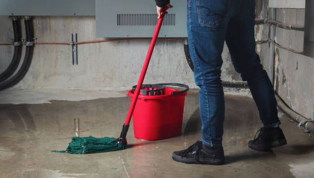 Best Mold removal after water damage  in Mount Holly, NC