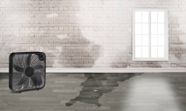Best Commercial water damage restoration  in Mount Holly, NC