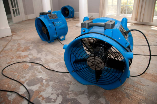 Best Flood damage cleanup  in Mount Holly, NC