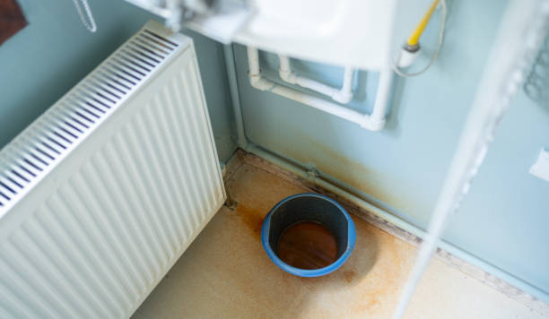 Best Flood restoration services  in Mount Holly, NC
