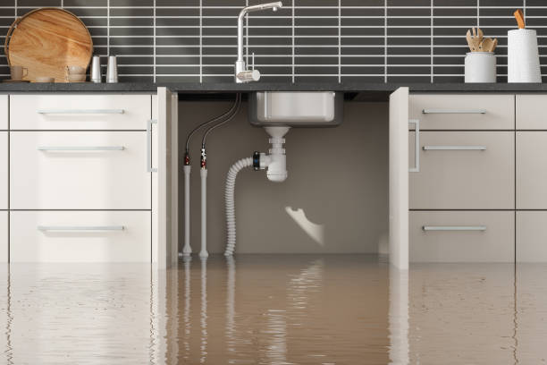 Best Basement water damage restoration  in Mount Holly, NC